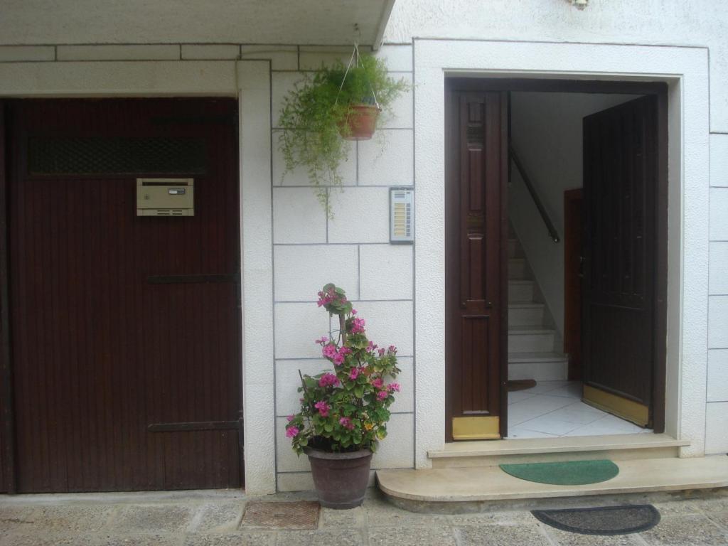 Apartments Ivanka Zadar Exterior foto